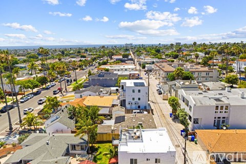 A sunny day in a residential neighborhood with houses and palm trees.