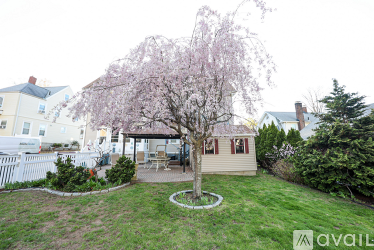 A tree with pink flowers is in the middle of a grassy area.
