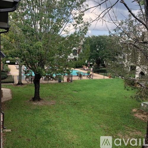 A tree stands in a grassy yard with a pool in the background.