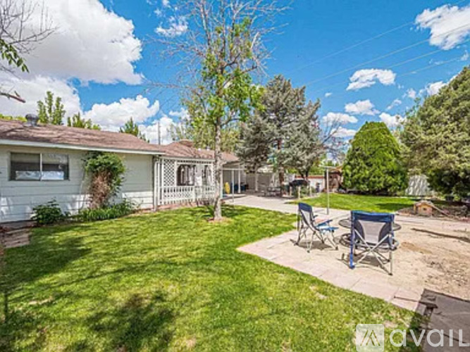 A backyard with a lawn, two chairs, and a tree.