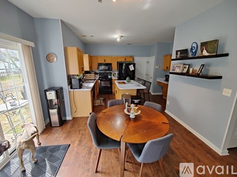 A dog is standing on a rug in a kitchen with a dining table and chairs.