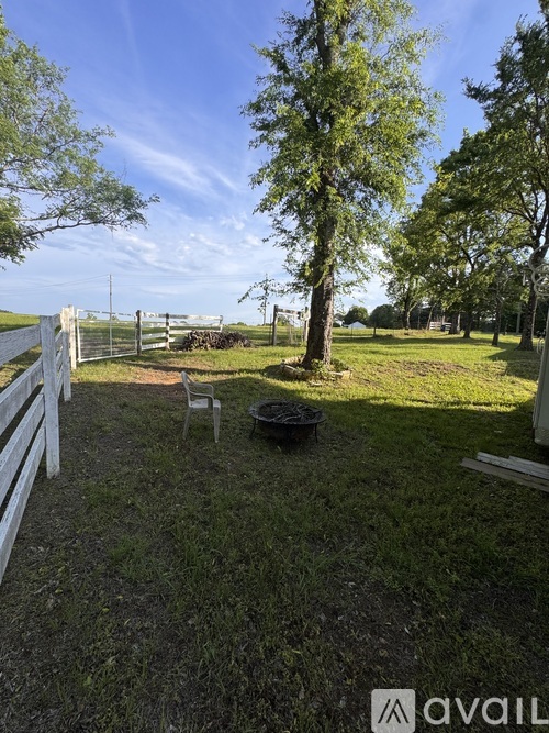 A white fence encloses a grassy area with a tree and a black object on the ground.