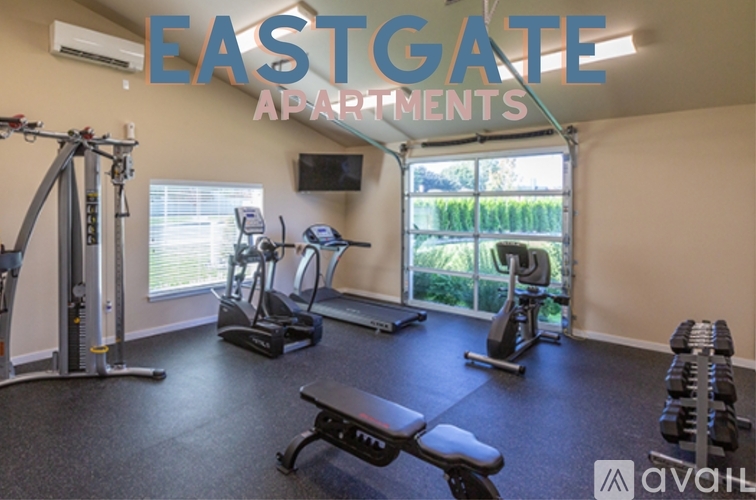 A gym room with a variety of equipment including a treadmill, a stationary bike, a rowing machine, a bench, and a television.