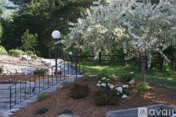 A garden with a black fence and white flowers.