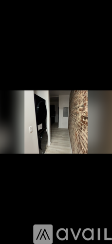 A room with a palm tree in the corner and a black object on the floor.