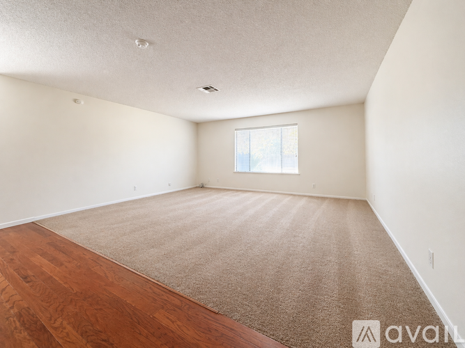 A room with a carpeted floor and a window.