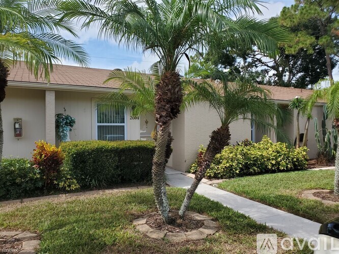 A palm tree in front of a house with a white fence.