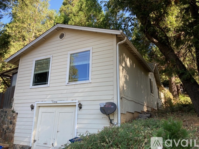 A small house with a white door and windows is surrounded by trees.