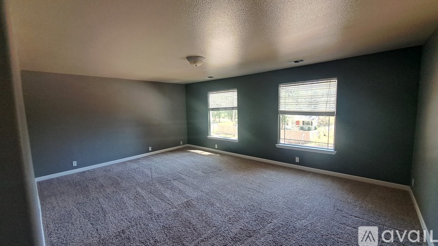 A room with carpeted floor and two windows.