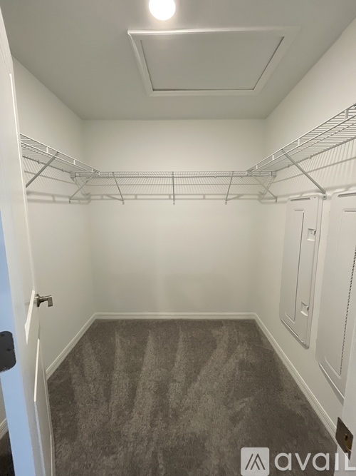 A walk-in closet with white walls and a carpeted floor.