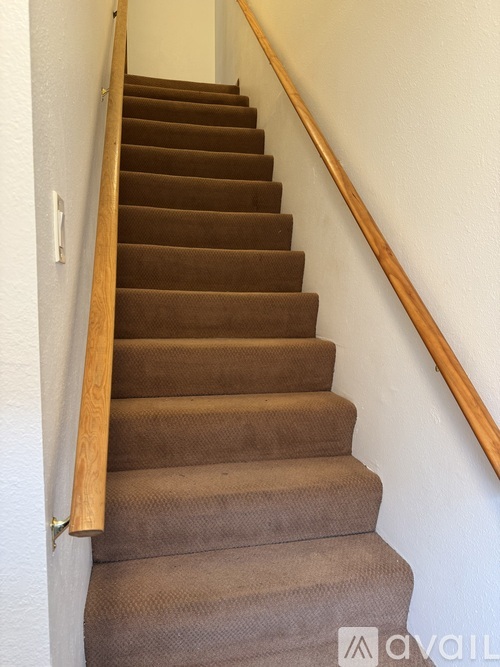 A brown carpeted staircase with a wooden handrail.