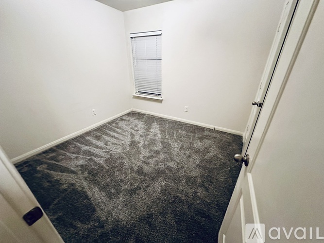 A room with a carpet that has a design on it.