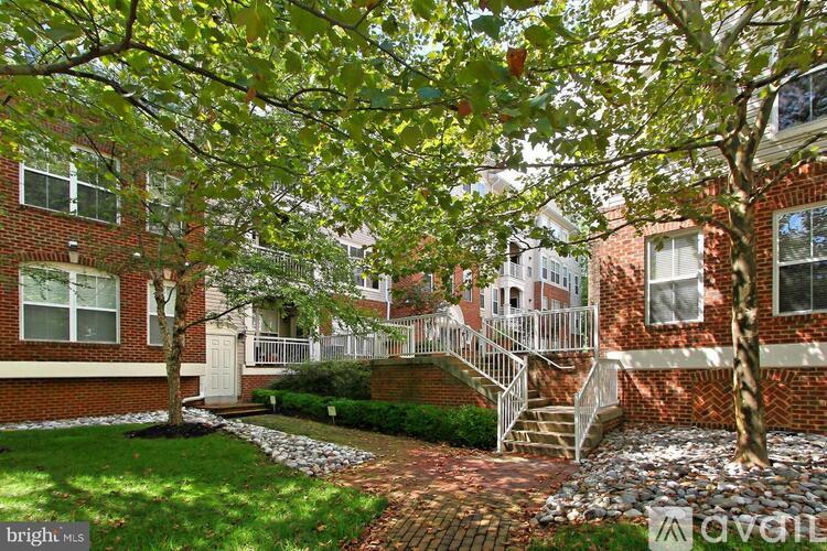 A tree with green leaves is in front of a brick building.