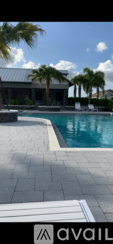A pool surrounded by a brick patio and palm trees.