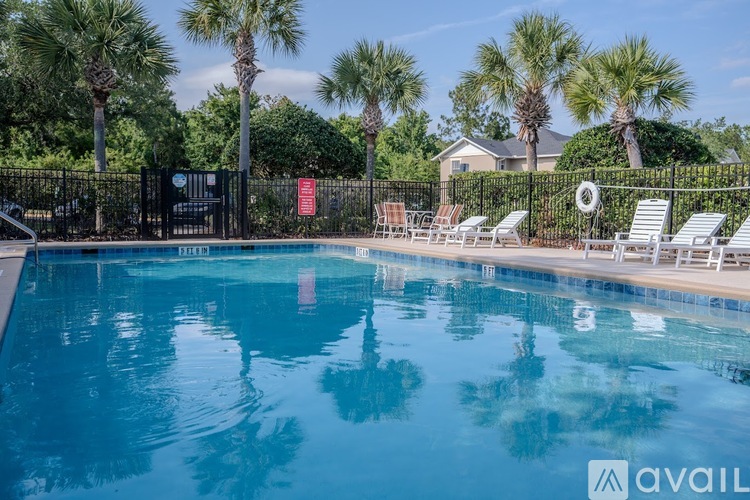 A pool surrounded by palm trees and lounge chairs.