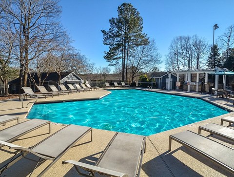 A large swimming pool surrounded by sun loungers and trees.