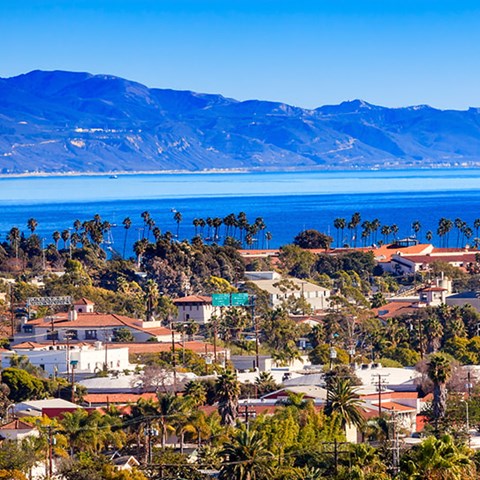 A coastal town with houses and palm trees in the foreground and mountains in the background.
