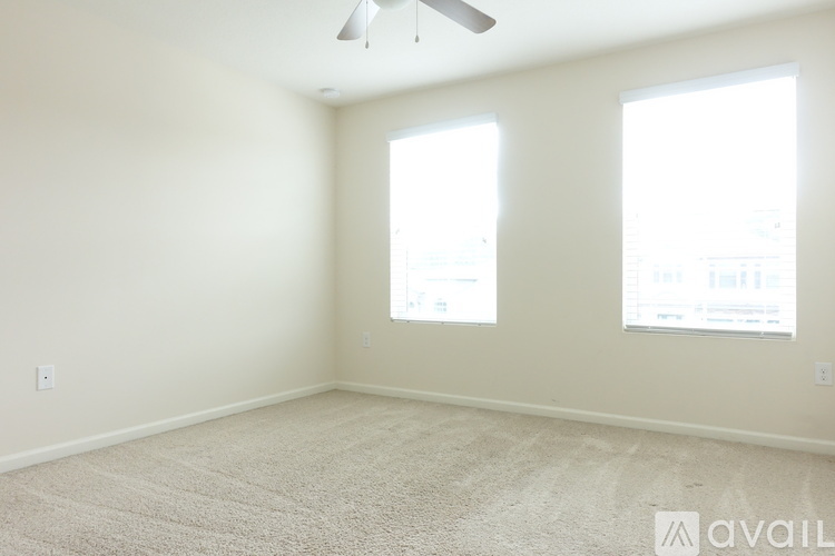 A room with a carpeted floor, a ceiling fan, and two windows.
