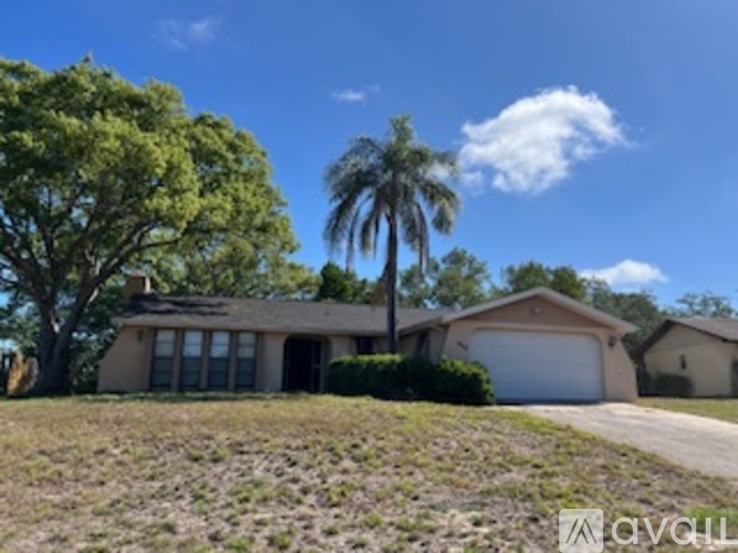 A house with a driveway and a palm tree in front.