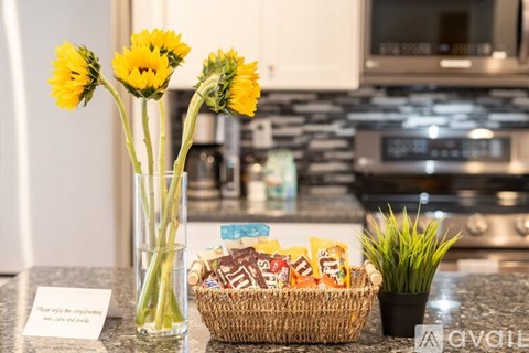 A kitchen counter with a vase of yellow flowers, a basket of snacks, and a small potted plant.