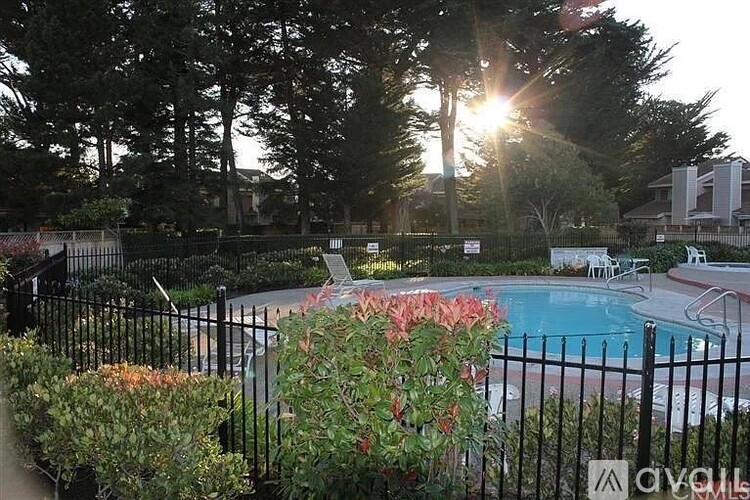 A pool surrounded by a black fence and green plants.