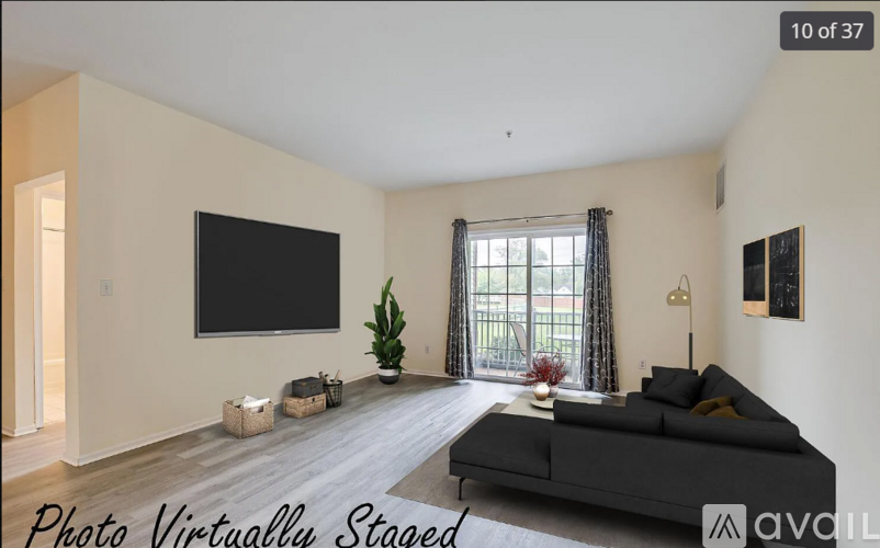 A living room with a black couch, a flat screen TV, and a plant.