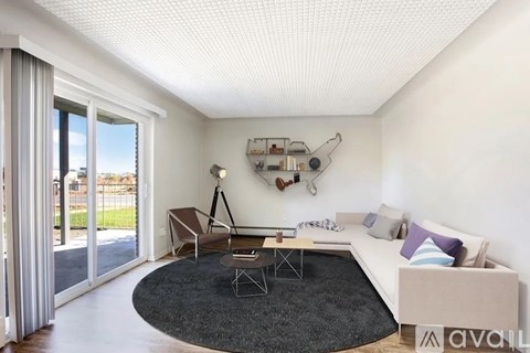 A living room with a white couch and a black rug.