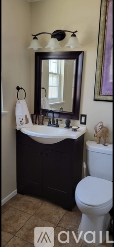 A bathroom with a white toilet and a sink with a mirror above it.