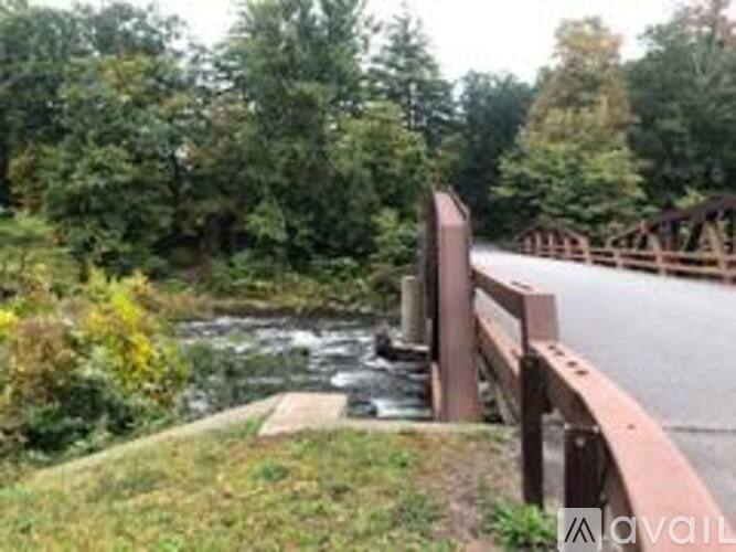 A bridge over a stream in a wooded area.