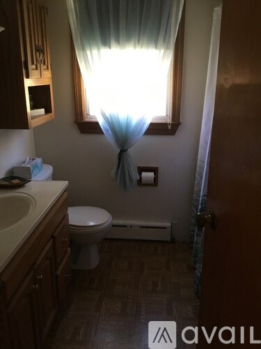 A bathroom with a toilet, sink, and a window with a curtain.