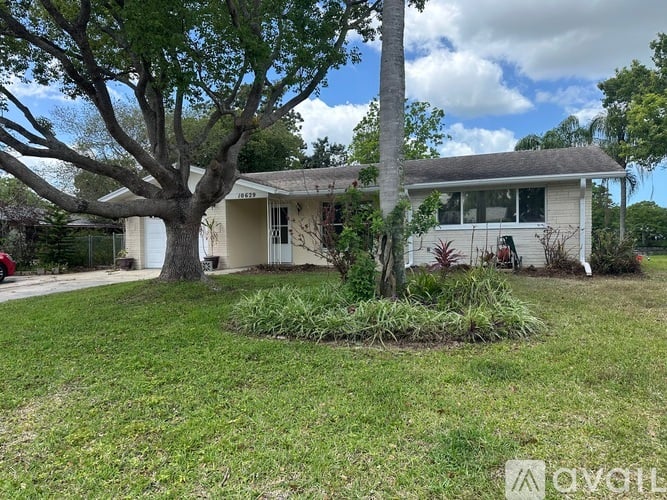 A house with a tree in front of it.