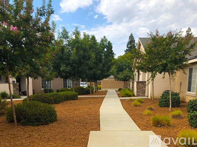 A residential area with a pathway and houses on both sides.