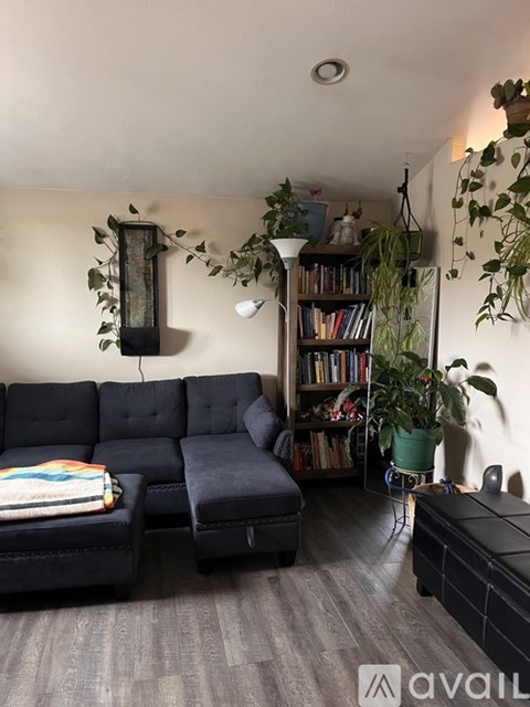 A living room with a grey sofa and a bookshelf.
