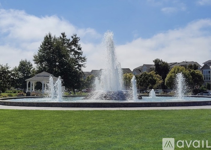 A fountain in the middle of a grassy area with houses in the background.