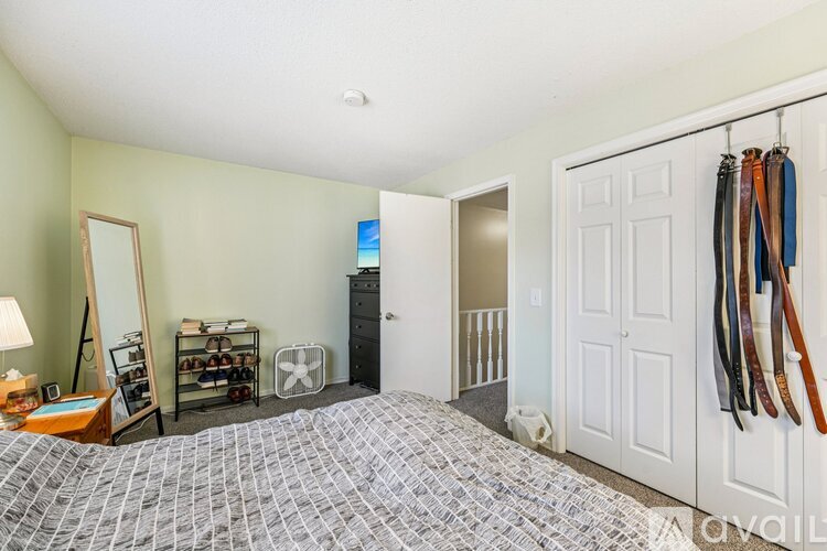 A bedroom with a patterned carpet and a closet with skis hanging on it.