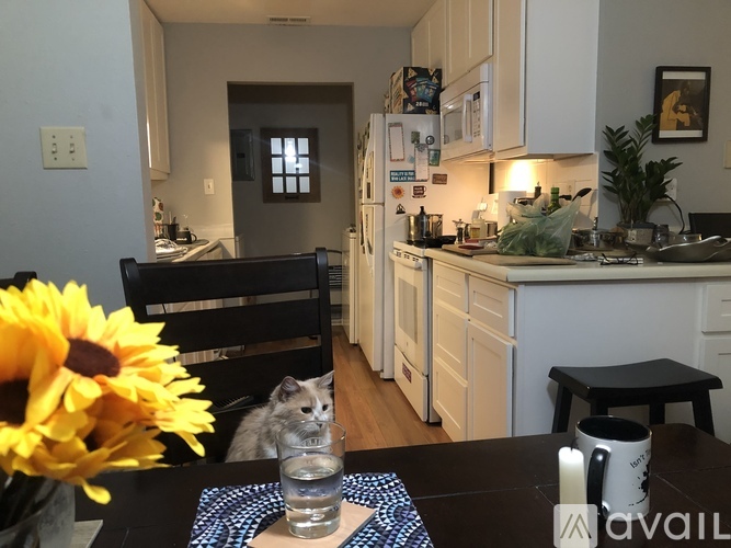 17054 Sandalwood Creek Dr 2 Beds Condo for Rent - Photo gallery 5