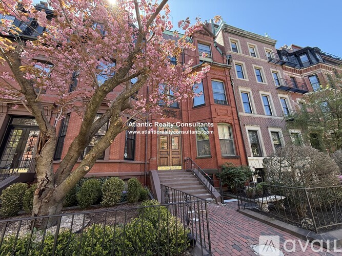 A tree with pink blossoms is in front of a building with a sign that reads "Atlantic Realty Consultants.".