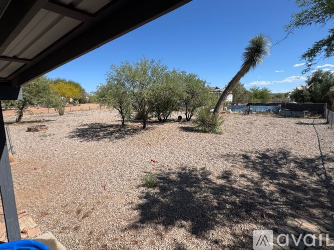 A backyard with a gravel ground and trees.
