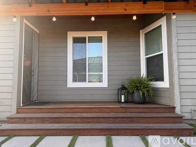 A house entrance with a wooden step and a potted plant.