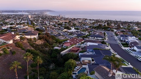 A bird's eye view of a residential area with houses and palm trees.
