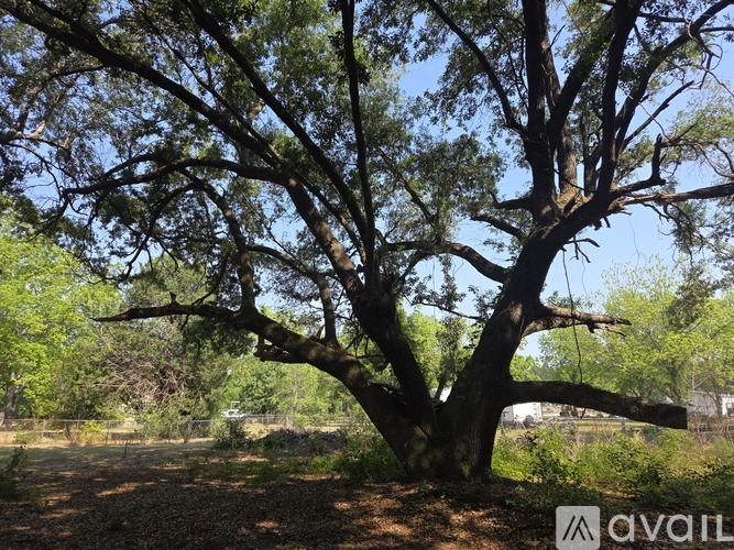 1040 Short Cut Rd 3 Beds Single Family Home for Rent - Photo gallery 3
