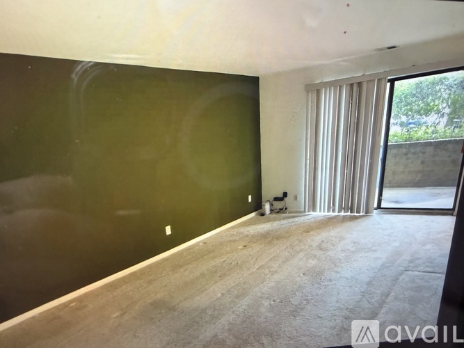 A room with a green wall and a dog.