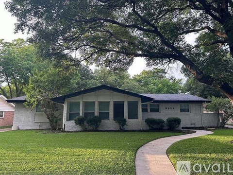 A house with a white front yard and a tree in front.