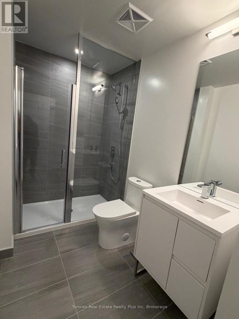 A modern bathroom with a walk-in shower, toilet, and sink.