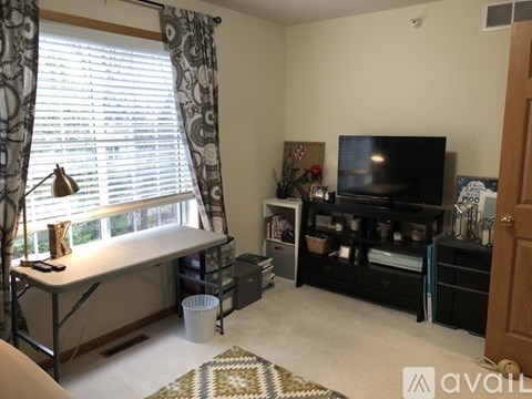 A living room with a television, a window with curtains, and a rug on the floor.