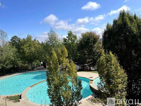 A swimming pool surrounded by trees on a sunny day.