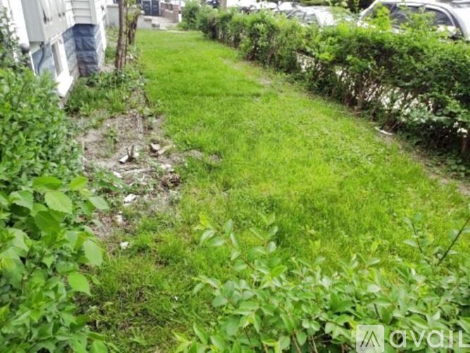 A grassy area with a dirt path and some weeds.