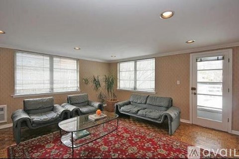 Living room with grey couches and a red rug.