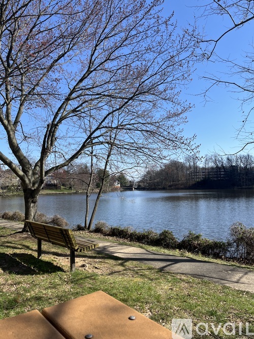 2910 Yarling Court 2 Beds Condo for Rent - Photo gallery 3