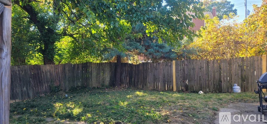 A backyard with a wooden fence and trees.
